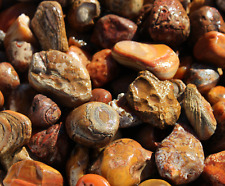 Bahia Agate - Rough Rocks for Tumbling - Bulk Wholesale 1LB options picture