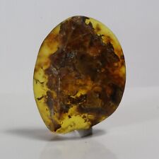 15ct Genuine Dominican Amber Fossil Cabochon Cab Crystal Maybe Blue or Green 33 picture