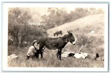 c1940's Peter Voss & Donkey Milking 
