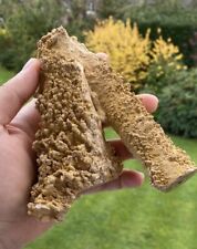 Rare Cave Stalagmite Large Piece 650g Great Display Piece picture
