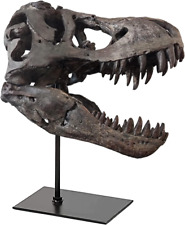 T-Rex Skull Statue Home Office Desktop Shelf Decor Dinosaur Head Sculptures Tyra picture