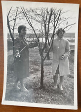 Beautiful Soviet young women near tree Vintage photo picture