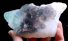 New Find Very Rare Blue Cube & purple Fluorite Symbiotic Mineral Specimen 491g picture