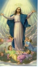 HAIL MARY  - Laminated  Holy Cards.  QUANTITY 25 CARDS picture
