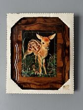 picture of fawn  picture