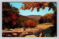 Shenandoah National Park, Flaming Fall Foliage, Antique, Vintage Postcard picture