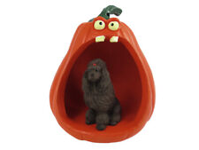 Poodle Chocolate Halloween Statue Figurine and Spooky Pumpkin picture