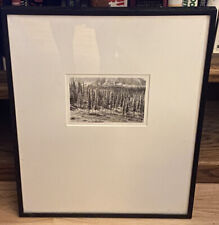 Tom Zetterstrom Original Photograph - Black Spruce from Portrait of Trees 1978 picture