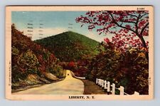 Liberty NY-New York, Scenic Road View, Antique, Vintage c1954 Souvenir Postcard picture