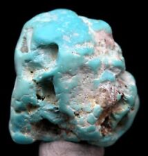 TURQUOISE Specimen Natural Authentic Gemstone Nugget LONE MOUNTAIN MINE NEVADA picture