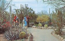 Desert Botanical Garden Tempe Phoenix Arizona picture