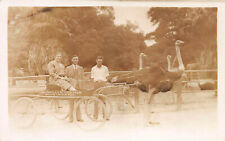 Los Angeles Ostrich Farm, Los Angeles, California, Real Photo Postcard, Unused picture