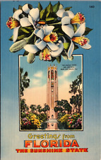 Florida - Greetings from Florida, The Sunshine State - Vintage LINEN- Postcard picture