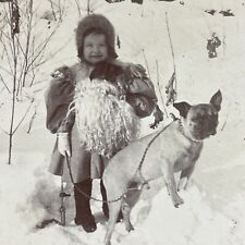 Antique 1898 Young Girl With Pug Dog In Deep Snow Stereoview Photo Card P4076 picture