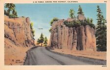 Que de Porka Sonora Pass Highway Sonora Bridgeport California Vtg Postcard C54 picture
