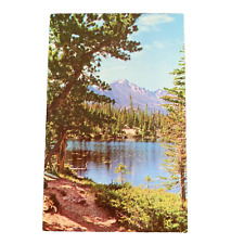 Beautiful Nymph Lake with Longs Peak in background Colorado Postcard Unposted picture