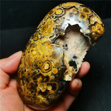 Rare 429G Natural Inner Mongolia Gobi Eye Agate Geode Collection Healing WYY1468 picture