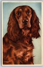 Postcard Irish Setter Dog Alfred Mainzer 300 Portland OR Zoo RR 1961 C35 picture