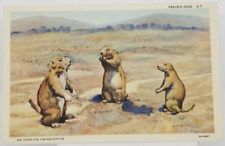 Three Prairie Dogs in Southwest Desert Mountains Unused Vintage Postcard picture