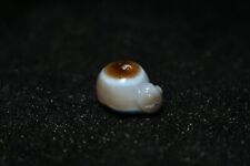 Beautiful Unique Ancient Rare Carved Turtle Agate Stone Bead / Amulet picture