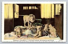 1930s Postcard East African Atlas Lions Smithsonian African Expedition 1909-1910 picture