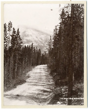 J.Thompson, Banff National Park, British Columbia, Canada Vintage Print, Ti picture