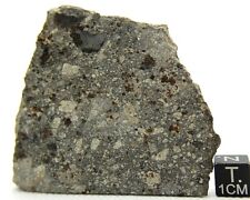 Meteorite NWA 14456 H6 Chondrite meteorite 83 gram, Very fresh meteorite  picture