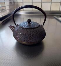 Japanese Nambu Ironware Iron Teapot Round Cherry Blossom picture