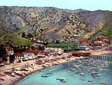 1903 Avalon Beach Catalina Island, CA Vintage Photograph 8.5