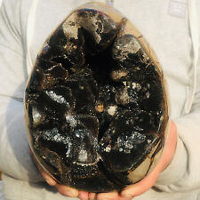 12.5lb Large Beautiful Septarium Septarian Crystal Geodes Rough Mineral Specimen picture