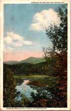 C.1918 Vintage Postcard Saranac River Whiteface Mt. Adirondacks Bloomingdale Rd  picture