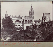 Spain, Seville, Alcázar Garden, ca.1880, vintage albumin print shooting picture