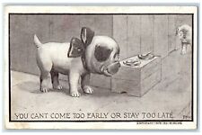 1910 Cute Dog Puppies Coatesville Pennsylvania PA Posted Antique Postcard picture