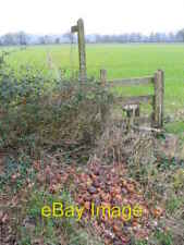 Photo 6x4 Rotten Apples? Kingsley/SU7838 A pile of rotting fruit has bee c2007 picture