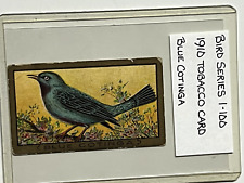 T42 American Tobacco, Birds, 1910, Blue Cotinga picture