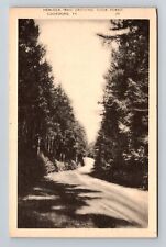 Cooksburg PA-Pennsylvania, Hemlock Trail Crossing Cook Forest Vintage Postcard picture