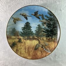 WINGED FLURRY Plate Game Birds Collection David Maass Mourning Dove Danbury Mint picture