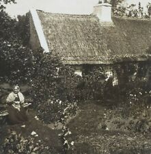 County Kerry Ireland Cozy Cabin Garden Irish Woman House 1902 Stereoview K88 picture