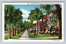 FL-Florida, Sunshine And Shadows, Residence Street, Antique, Vintage Postcard picture