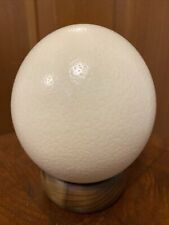 Large Ostrich Egg Hollowed out w/ Small hole 6.5” X 6” Easter~Art picture