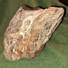 PETRIFIED FOSSIL WOOD LARGE SELF STANDING AGATIZED +  COLORADO 6.5 LB picture