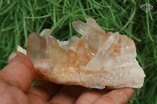 Yellow Quartz Crystal 344 gm Himalayan Samadhi Healing Natural Quartz Specimen picture