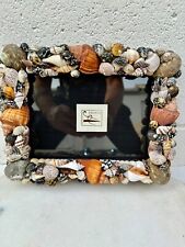 Amarin Sea Shell Photograph Frame (7x10) picture