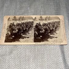 Antique 1898 Stereoview Photo: Troop C Cavalry from Brooklyn Camp Alger VA picture