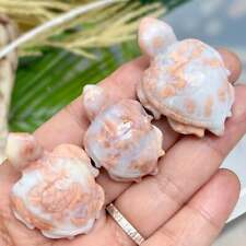 Pink Cotton Candy Druzy Agate Cute Turtles Gemstone Sea Creatures Healing Crysta picture