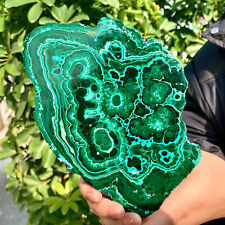1.6LB  Natural tortoise Malachite transparent cluster rough mineral sample picture