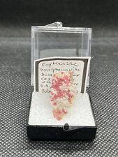 NATURAL EUDIALYTE CRYSTAL STONE MINERAL SWEDEN  With Perky Box picture