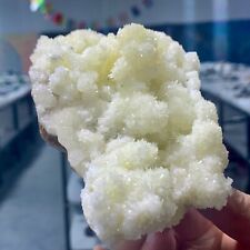 455G Museum Quality White Flowery Hydrozincite Crystal Cluster Mineral Specimen picture