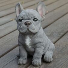 Realistic Sitting Blue French Bulldog Puppy Dog Garden Statue Frenchie Sculpture picture