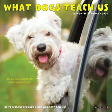 Willow Creek What Dogs Teach Us 2024 7